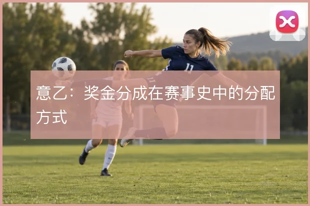 意乙：奖金分成在赛事史中的分配方式