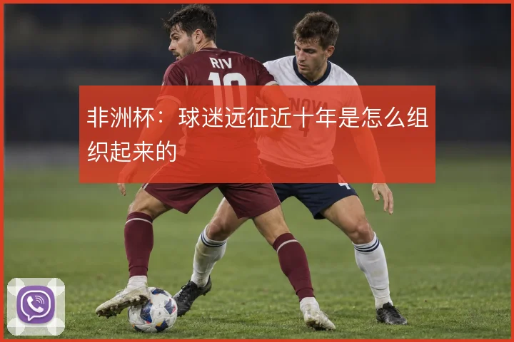 非洲杯：球迷远征近十年是怎么组织起来的