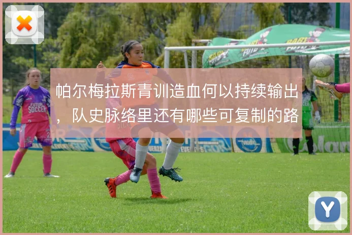 帕尔梅拉斯青训造血何以持续输出，队史脉络里还有哪些可复制的路径
